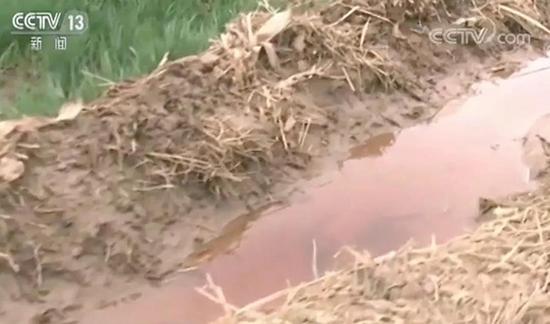 央视实地视察河北“红水浇地”,村民种粮自己不敢吃