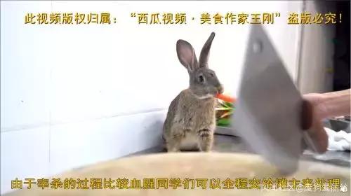 ǰ���������������ã�Ϊ���й���ʦ�ż����ǲ��̣�