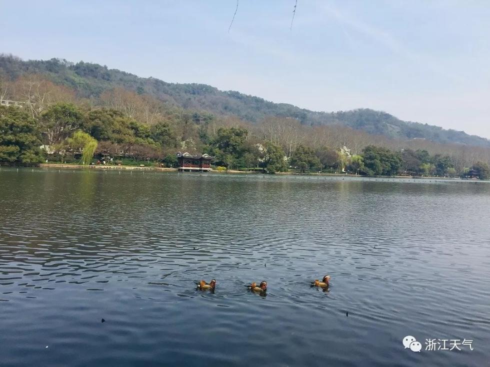 春风又绿江南岸!浙江下周最高温冲击30℃?