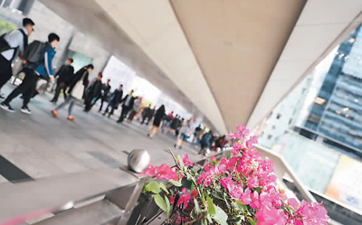 游香港:穿行楼宇间 最有大都市味道